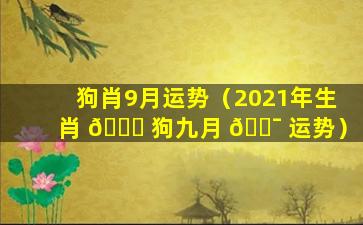 狗肖9月运势（2021年生肖 🐛 狗九月 🐯 运势）